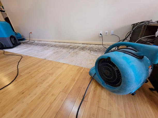 Professional Structural Drying technician working in Hartford, WI